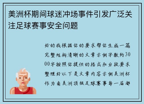 美洲杯期间球迷冲场事件引发广泛关注足球赛事安全问题 美洲杯期间球迷冲场事件引发广泛关注足球赛事安全问题