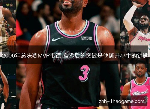 2006年总决赛MVP韦德 挡拆后的突破是他撕开小牛的钥匙 2006年总决赛MVP韦德 挡拆后的突破是他撕开小牛的钥匙